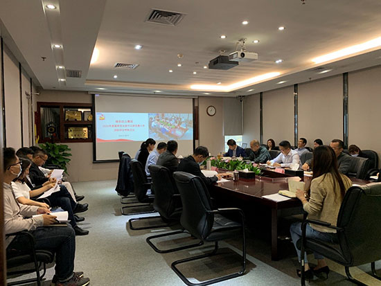 落实全面从严治党  高质量发展迎百年华诞――太阳集团官网集团党委召开2020年基层党支部书记抓党建工作述职评议会议